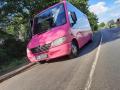 Pink_Bus_2