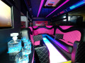 Pink_Bus_5